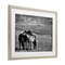 Stupell Industries Focused Horse Duo Framed Print Under Glass, design by Wendy Caro